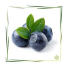 Parfümöl Blueberry 20 ml